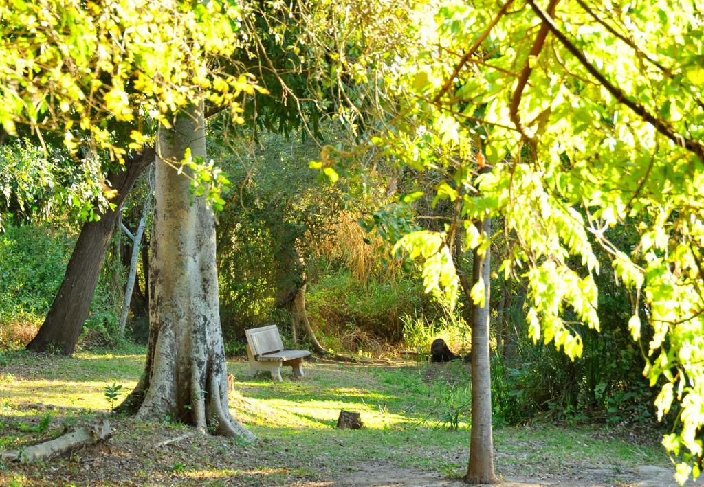 Komati River Chalets Komatipoort Dış mekan fotoğraf